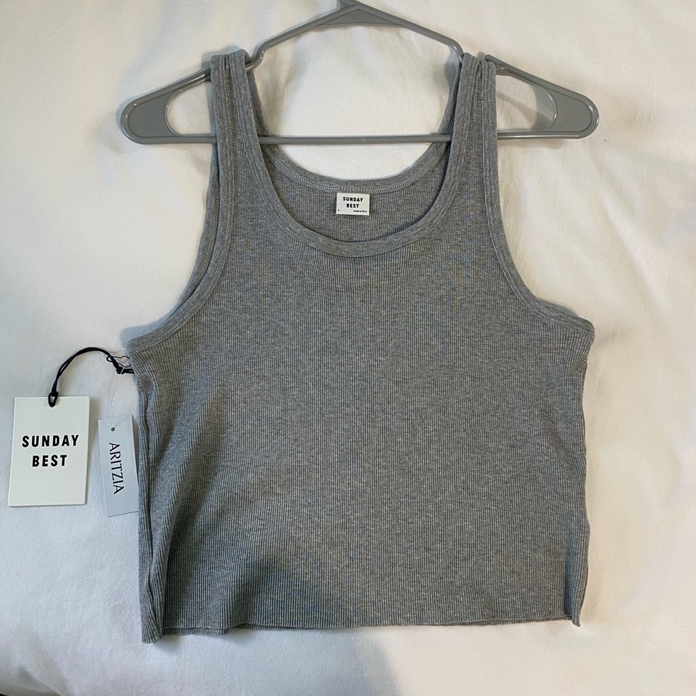 grey Sunday Best Aritzia cropped tank top
